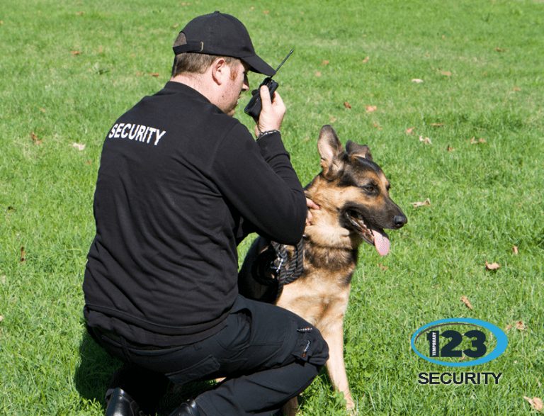 security 850x650 copy
